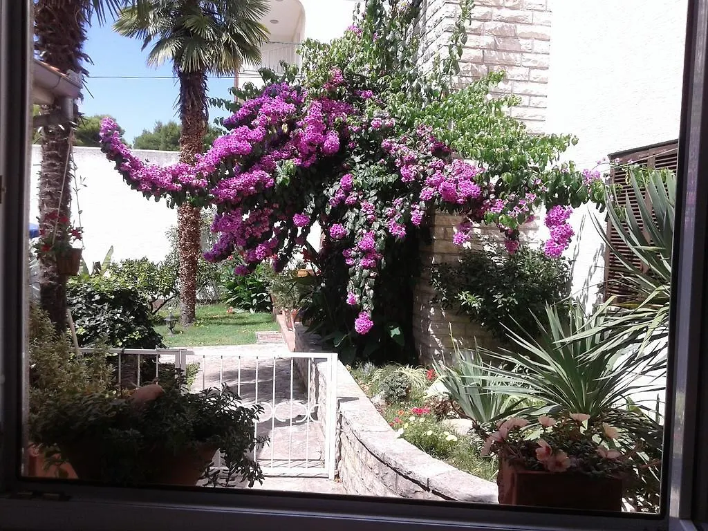 Apartments Terra Biograd Na Moru 0*,